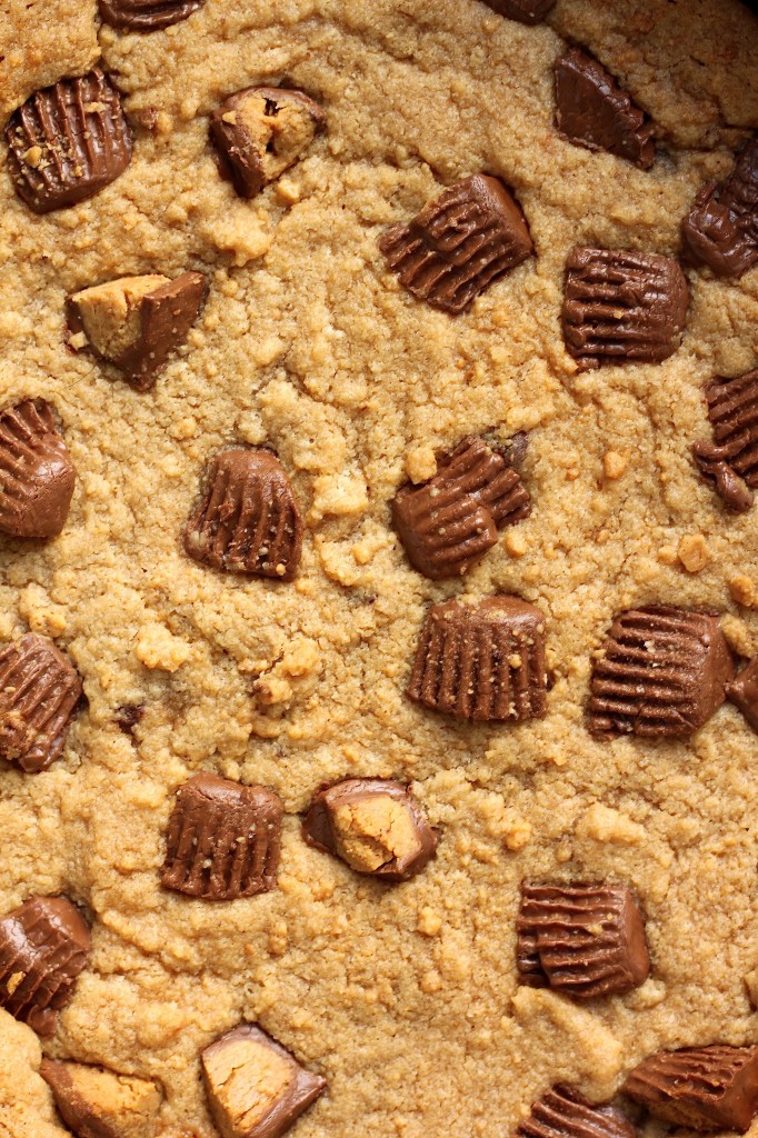 5Ingredient Vegan Peanut Butter Blondies Baker by Nature