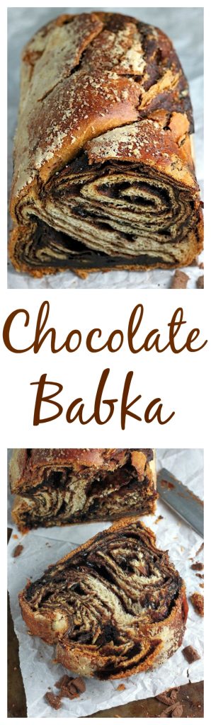 Chocolate Babka - with step by step photos to help you along the way!