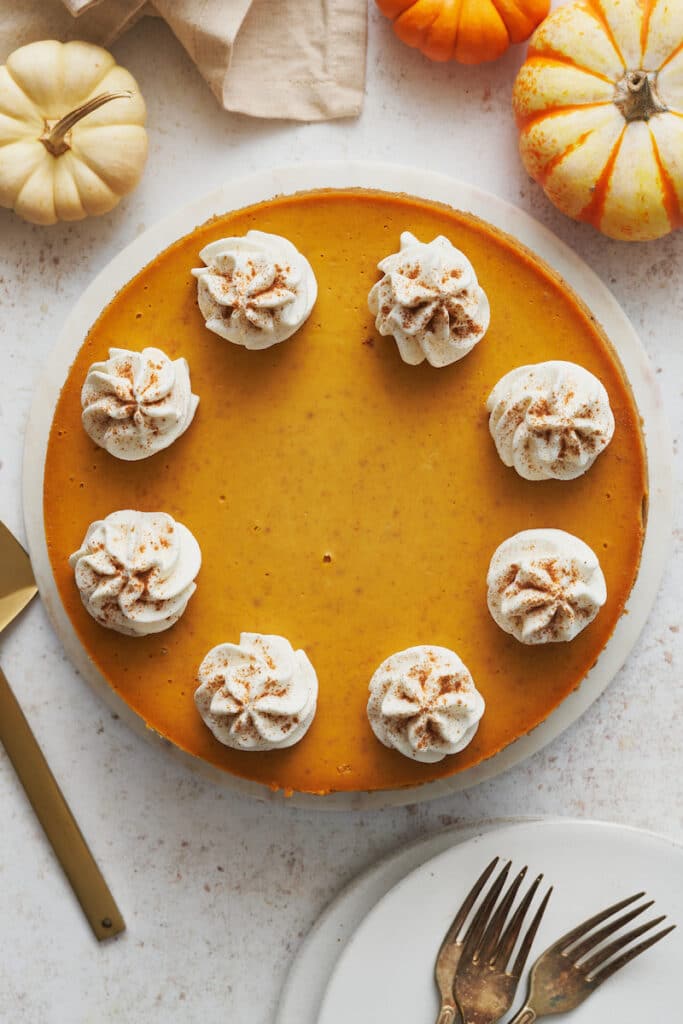 Whole pumpkin cheesecake with whipped cream on top.