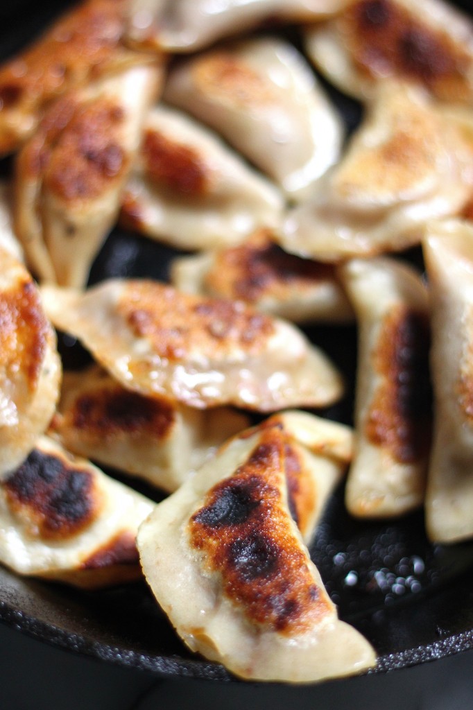 Italian Sausage, Pepper, and Onion Dumplings 