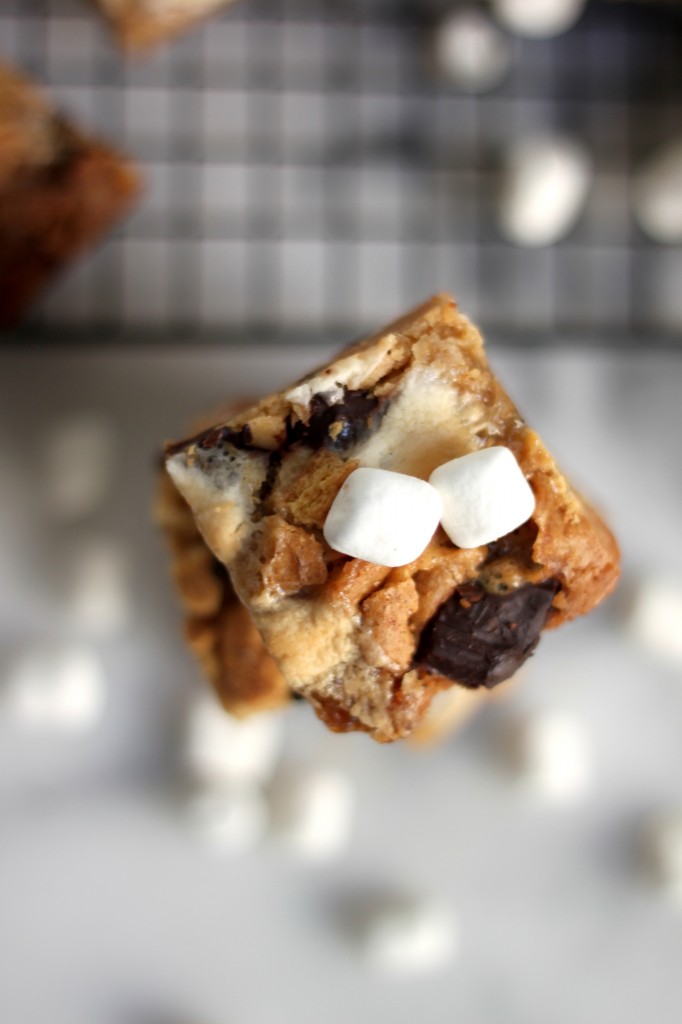 Double Decker S'mores Blondies 