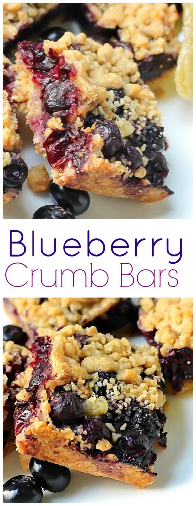 Blueberry Crumb Bars 