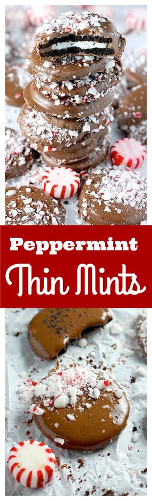 Easy Peppermint Mocha Thin Mints make wonderful holiday gifts!