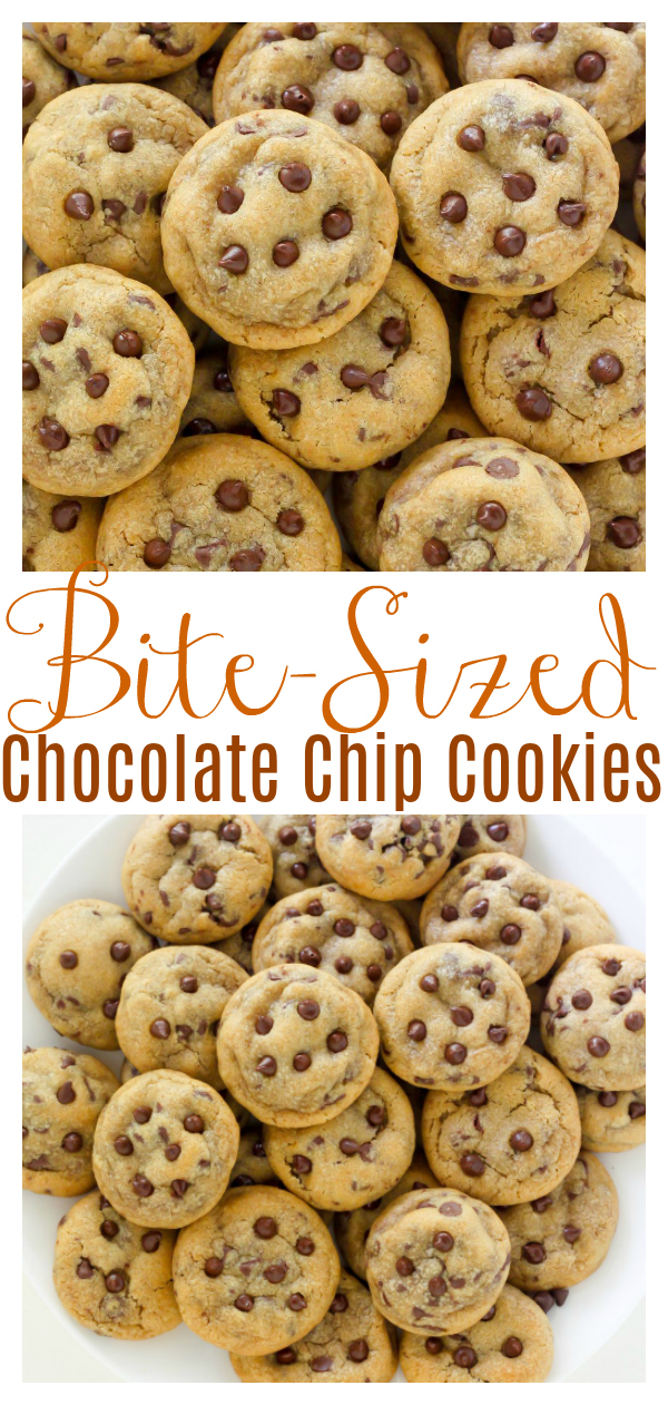 Bite-Sized Brown Butter Chocolate Chip Cookies are thick, chewy, and bursting with mini chocolate chips! Bonus: They're just SO cute. The perfect mini chocolate chip cookie recipe to share with friends!