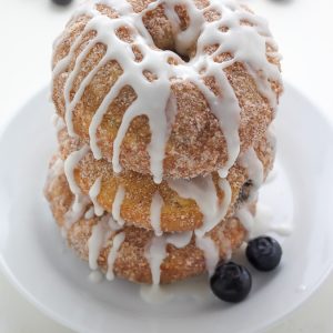 Blueberry Cinnamon Sugar Donuts with Vanilla Glaze - Oh man these are amazing!