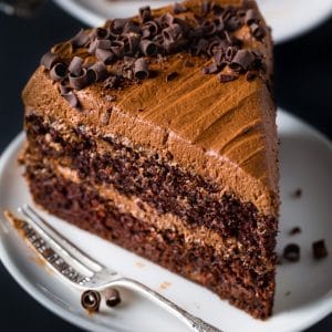 Supremely moist, rich, and decadent Chocolate Ricotta Layer Cake. Dangerously delicious!