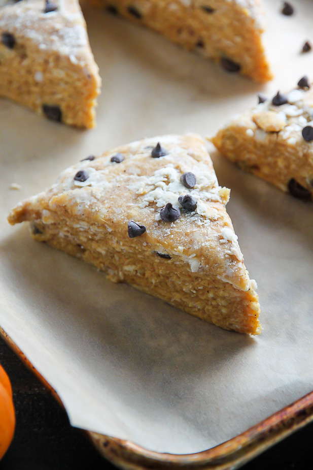 Classic and crumbly, these tender pumpkin scones are exploding with mini chocolate chips! 