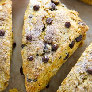 Classic and crumbly, these tender pumpkin scones are exploding with mini chocolate chips!