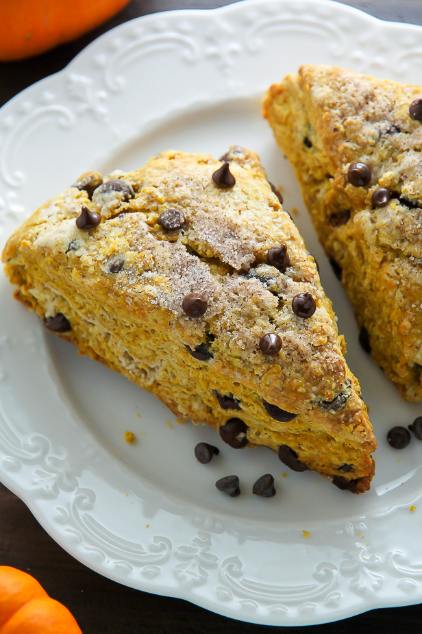 Classic and crumbly, these tender pumpkin scones are exploding with mini chocolate chips! 