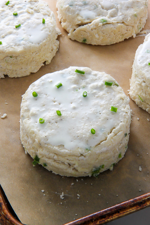 Fluffy and flavorful sour cream and chive scones! A great choice for breakfast, brunch, or dinner.