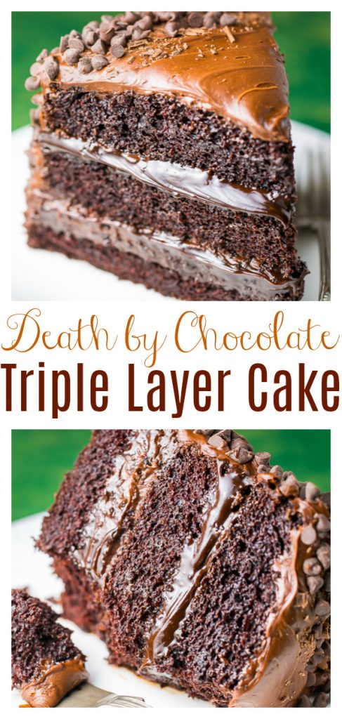 Death By Chocolate Cake Baker By Nature   Death By Chocolate Cake 1 487x1024 