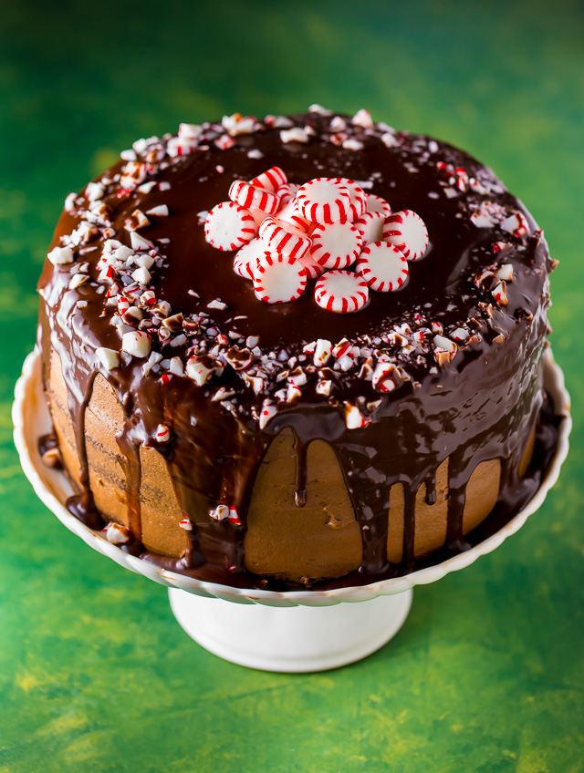This stunning Peppermint Mocha Chocolate Cake is moist, rich, and absolutely delicious!