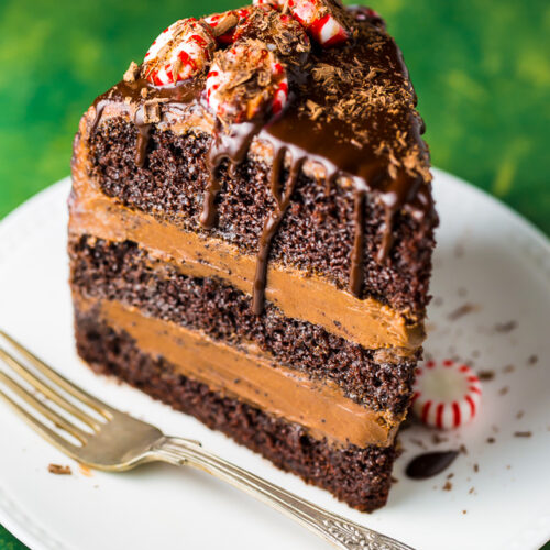 This stunning Peppermint Mocha Chocolate Cake is moist, rich, and absolutely delicious!