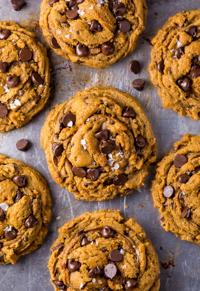 Say hello to the BEST Vegan Pumpkin Chocolate Chip Cookies ever!