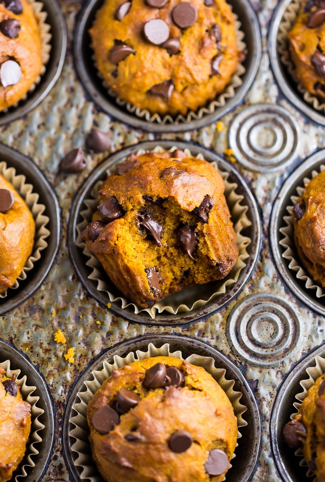 An easy recipe for Pumpkin Chocolate Chip Muffins and bread!