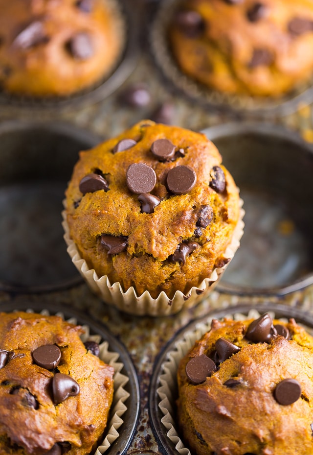 An easy recipe for Pumpkin Chocolate Chip Muffins and bread!