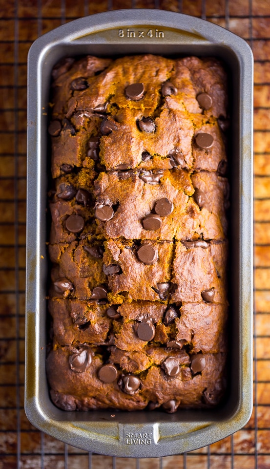 An easy recipe for Pumpkin Chocolate Chip Muffins and bread!