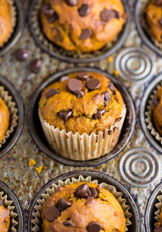 An easy recipe for Pumpkin Chocolate Chip Muffins and bread!