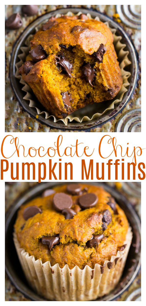 If you'e a pumpkin lover, you're in luck because this recipe makes Pumpkin Chocolate Chip Muffins AND bread! Moist, fluffy, and loaded with real pumpkin flavor! Perfect for breakfast or as an afternoon snack! 