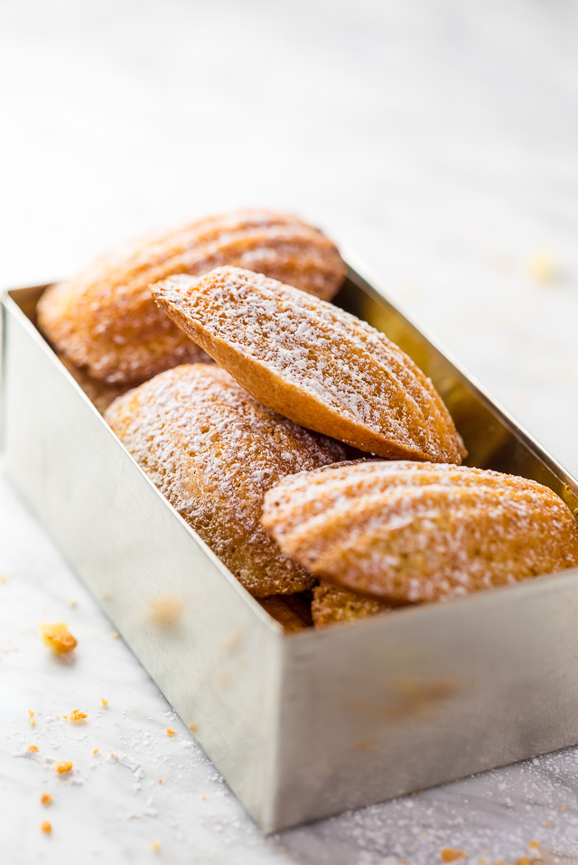 Classic French Madeleines