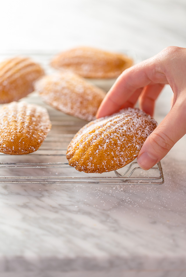 Today I'm teaching you exactly how to make Classic French Madeleines! They taste just like the ones you'd find in a Parisian boulangerie!