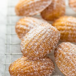 Today I'm teaching you exactly how to make Classic French Madeleines! They taste just like the ones you'd find in a Parisian boulangerie!