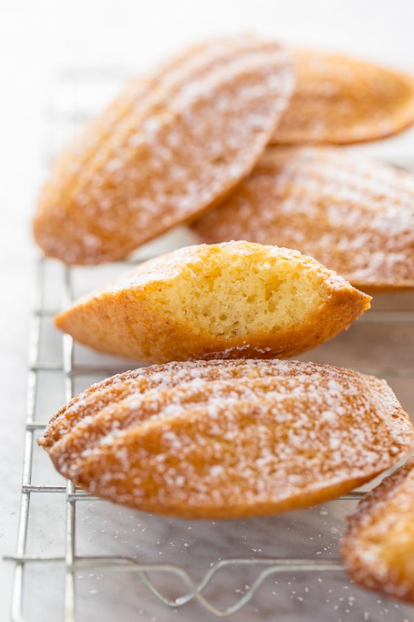 Classic French Madeleines Baker by Nature