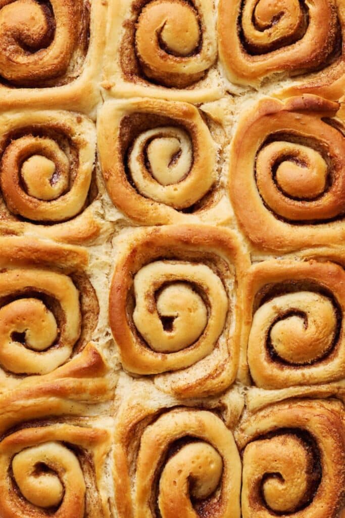 Cinnamon rolls baked but not frosted in the baking pan.