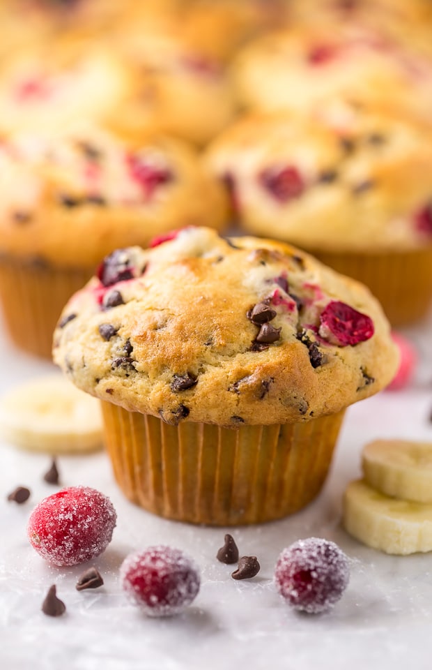 These soft and fluffy Cranberry Banana Muffins are so easy and perfect for breakfast! Full of real banana flavor, fresh cranberries, and a handful of chocolate chips, they're simply irresistible! #cranberry #banana #muffins #breakfast #Christmas #bananamuffins #chocolatechips