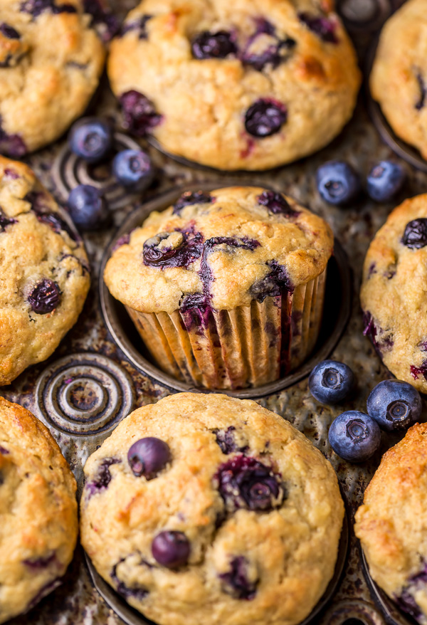 Healthy Greek Yogurt and Honey Blueberry Muffins are moist, fluffy, and subtly sweet! We love this healthy blueberry muffin recipe for breakfast or as a snack! The protein packed Greek yogurt makes these muffins moist and the honey makes them delightfully sweet. 