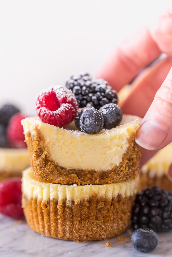 Mini Ricotta Cheesecakes are rich, creamy, and baked in a muffin tin! No water bath required for this mini cheesecake recipe. These little cuties are so perfect for parties and are always a crowd pleaser!