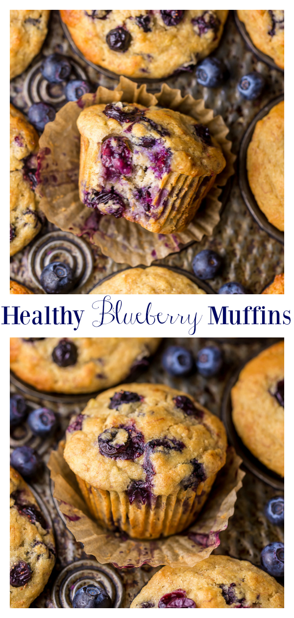 Healthy Greek Yogurt and Honey Blueberry Muffins - Baker by Nature
