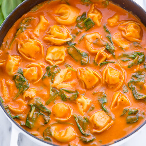 https://bakerbynature.com/wp-content/uploads/2019/08/Tomato-Tortellini-Soup12346-1-of-1-500x500.jpg