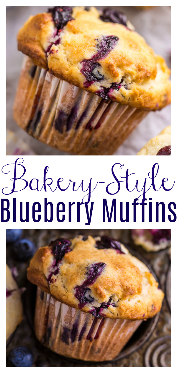 The Best Blueberry Muffins are moist, slightly dense, and LOADED with juicy blueberries! Use fresh or frozen blueberries! These are delicious for breakfast or as an afternoon snack!