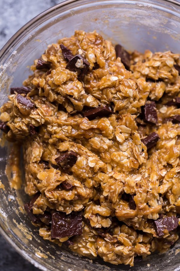 The Best Oatmeal Cookie Bars Baker by Nature