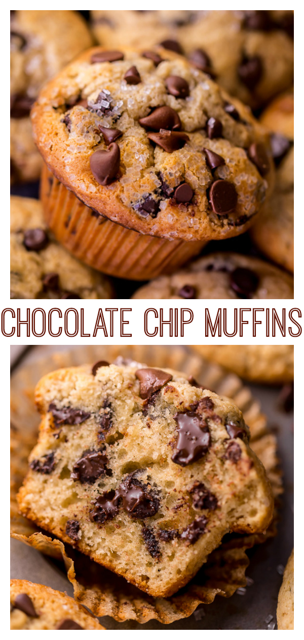 There are literally a million chocolate chip muffin recipes on the internet... but these moist chocolate chip muffins are truly the BEST! And that's not a humblebrag; it's a simple fact! These bakery style muffins come together in a jiffy - no electric mixer required!