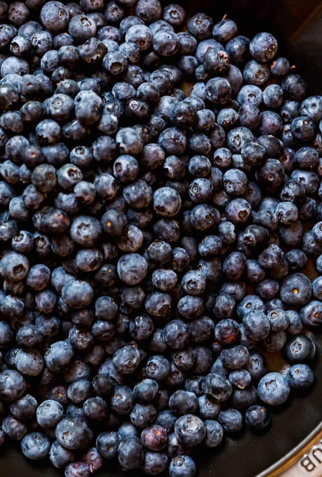 When blueberries go on sale, stock up so you can make this quick and easy blueberry cobbler recipe! Featuring the juiciest blueberry filling and a buttery biscuit topping, this Summer dessert is so good with a scoop of vanilla ice cream on top! While I always prefer to use fresh fruit, this recipe will work with fresh or frozen blueberries! #blueberrycobbler