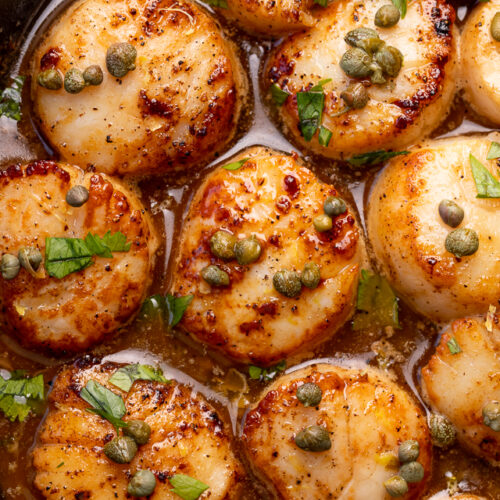 Perfectly pan seared scallops are served in a delicious white wine lemon caper sauce! This special occasion recipe is so easy and comes together in less than 20 minutes! Just be sure not to overcook your scallops, only cook for 1 minute and 30 seconds or so per side!