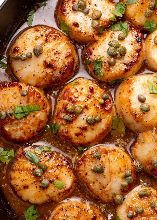 Perfectly pan seared scallops are served in a delicious white wine lemon caper sauce! This special occasion recipe is so easy and comes together in less than 20 minutes! Just be sure not to overcook your scallops, only cook for 1 minute and 30 seconds or so per side!