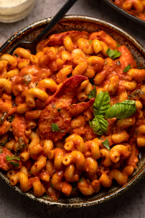 Special Occasion Spicy Lobster Pasta Baker by Nature