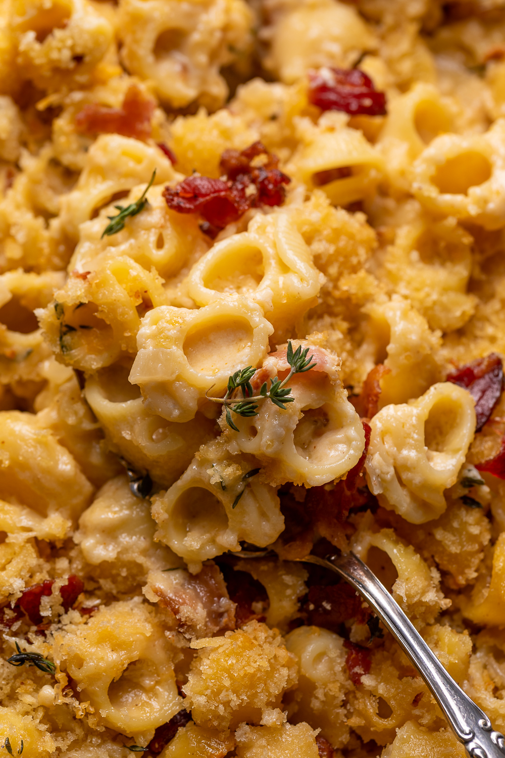 Elevated Macaroni and Cheese with Bacon and Gruy..