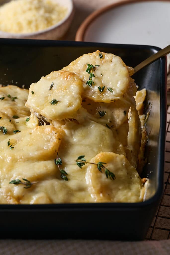 Scalloped potatoes being scooped out of the casserole dish.