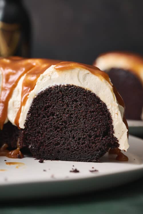 Best Guinness Chocolate Bundt Cake Baker by Nature